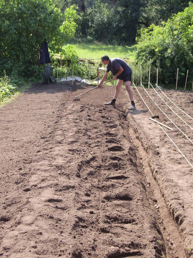 Plantation des bulbes de Safran de Haute Côte d'Or